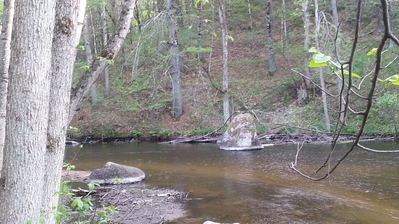 Photo of Others in Amherst