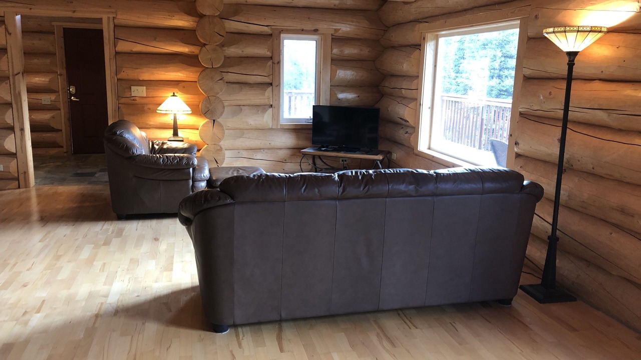 Photo of Livingroom in McKinley Park