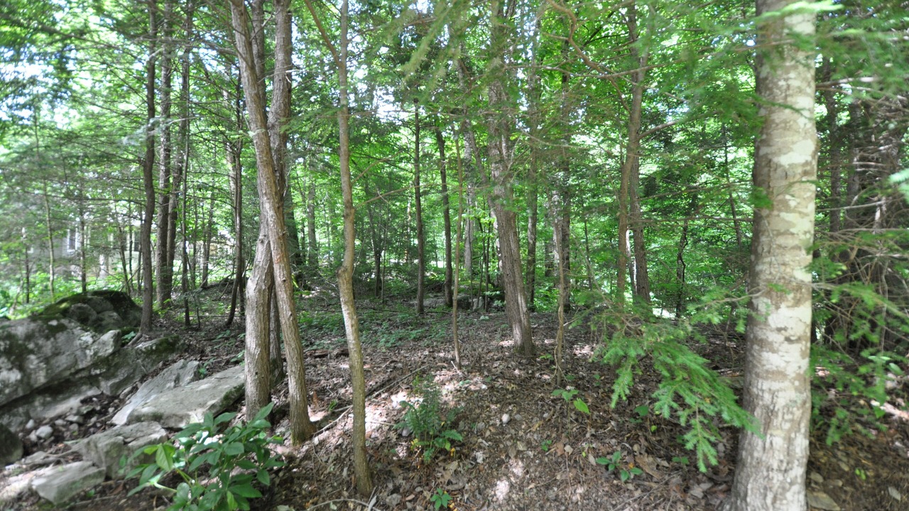 Photo of Others in Townsend