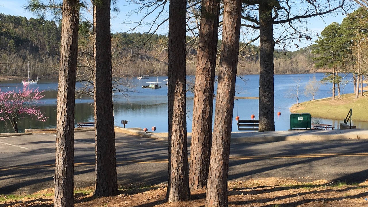 Photo of Others in Hot Springs Village