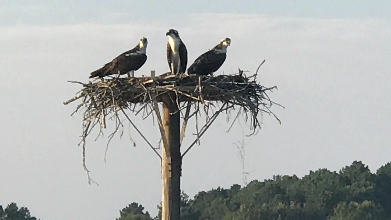Photo of Others in Eatonton