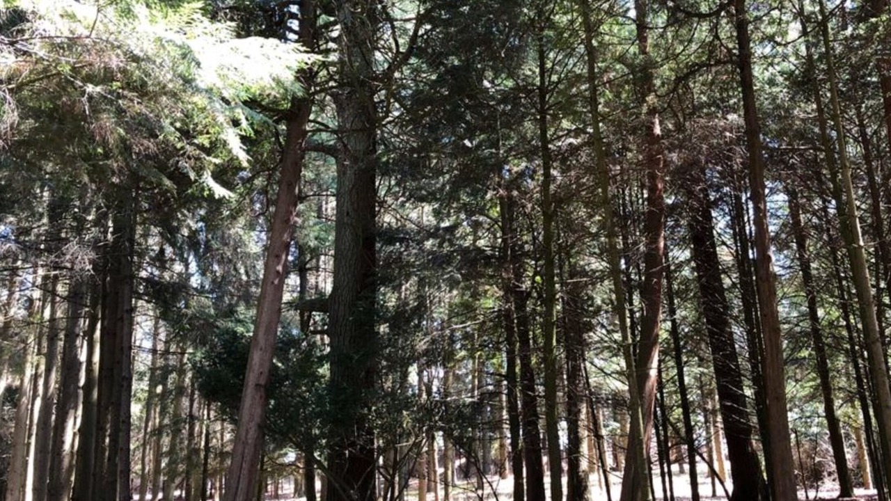 Photo of Outdoor in Oostburg