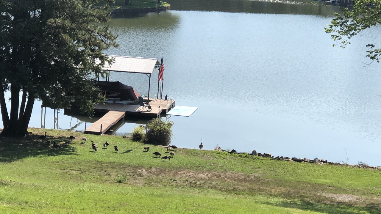 Photo of Outdoor in Piney