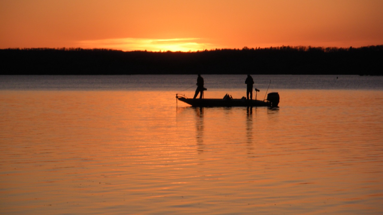 Photo of Others in Stewart