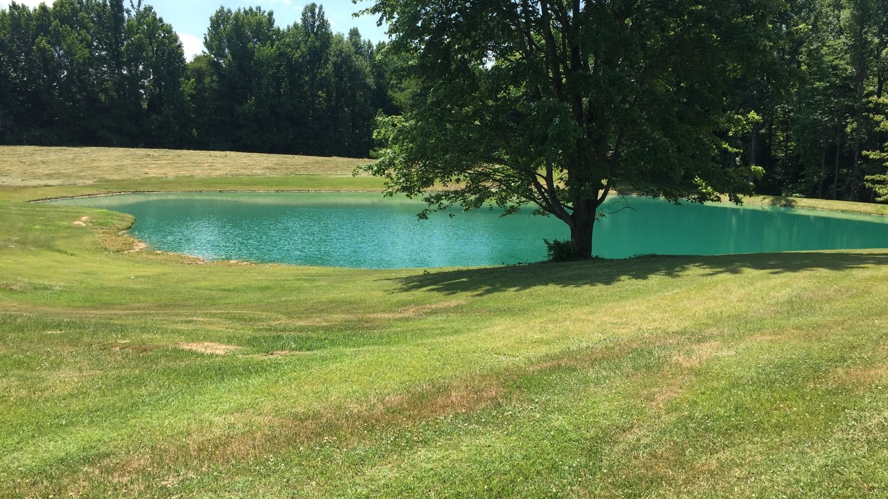 Photo of Outdoor in Owensboro