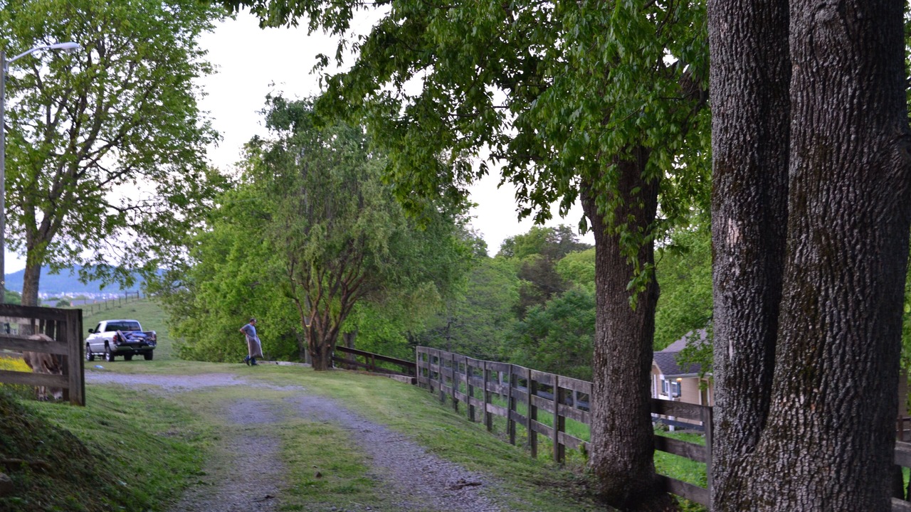 Photo of Outdoor in Goodlettsville