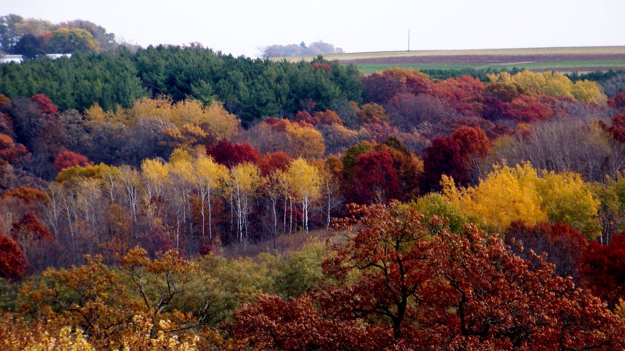 Photo of Others in Viroqua