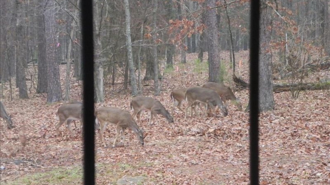Photo of Others in Wilburn