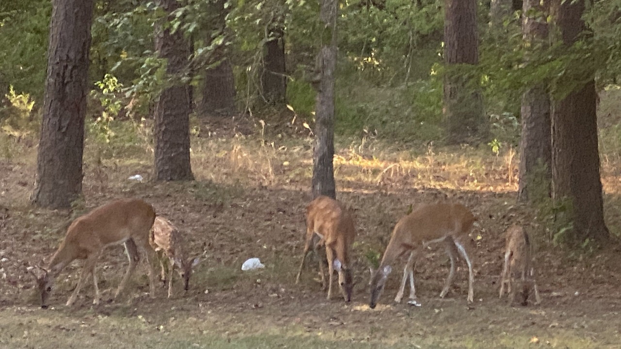Photo of Others in Wilburn