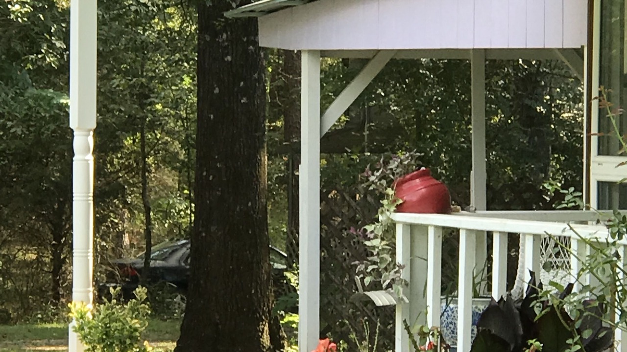 Photo of Outdoor in Pearcy