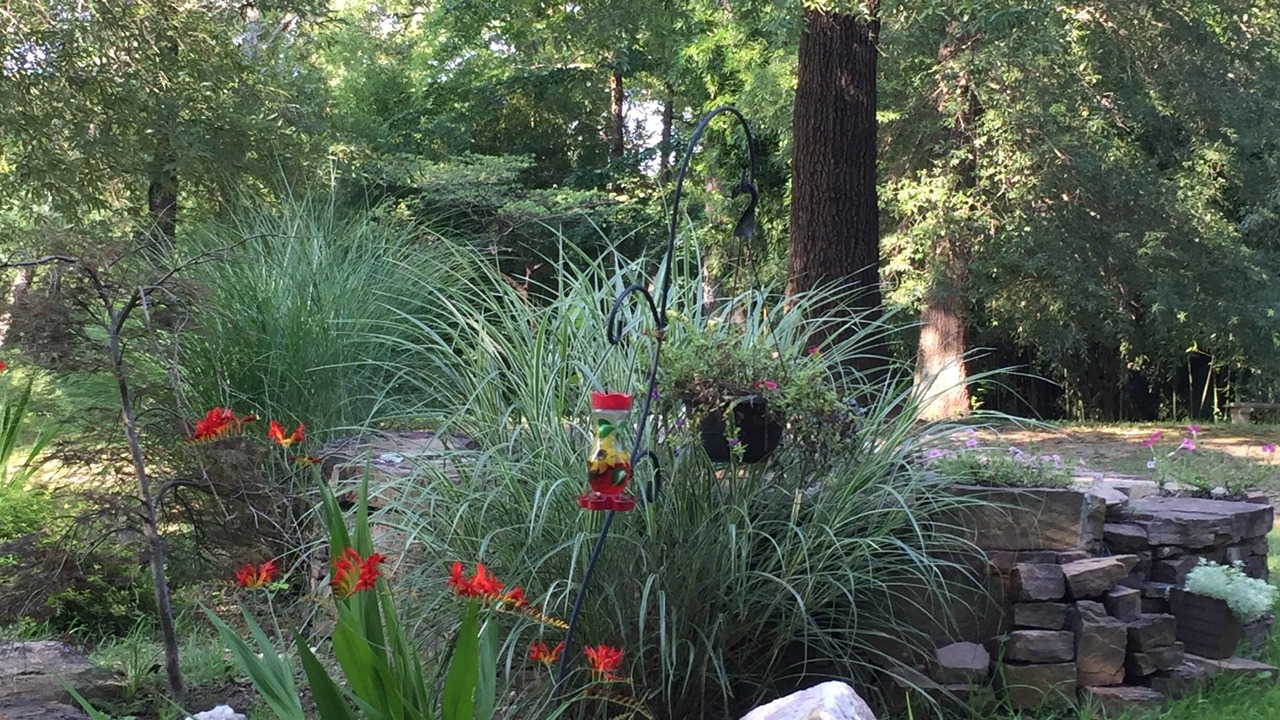 Photo of Outdoor in Pearcy