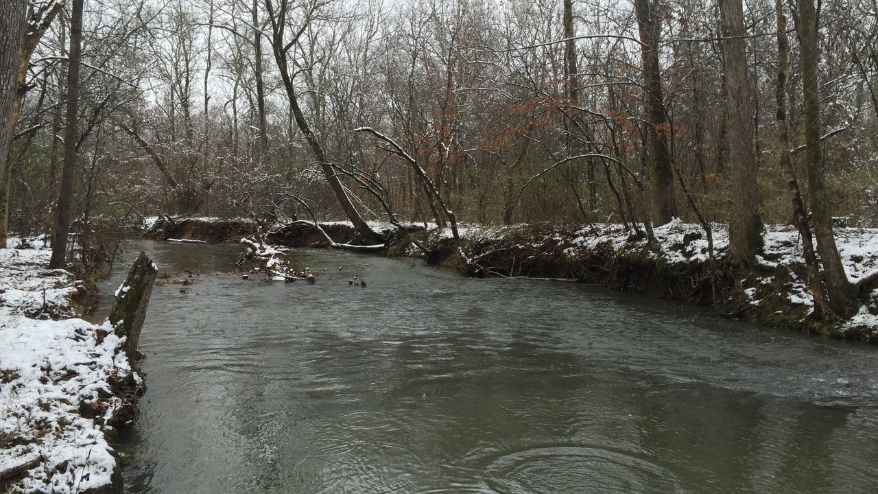 Photo of Outdoor in Pearcy