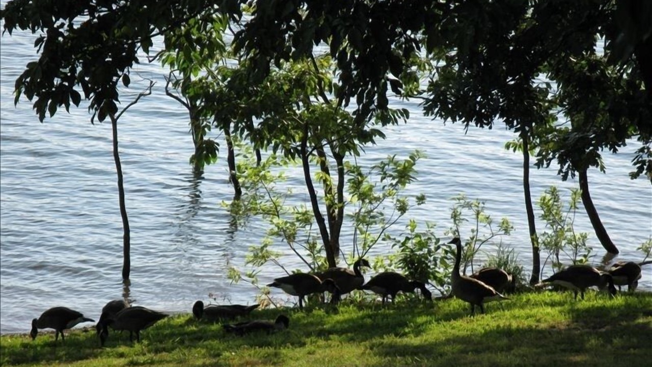 Photo of Others in Rogers