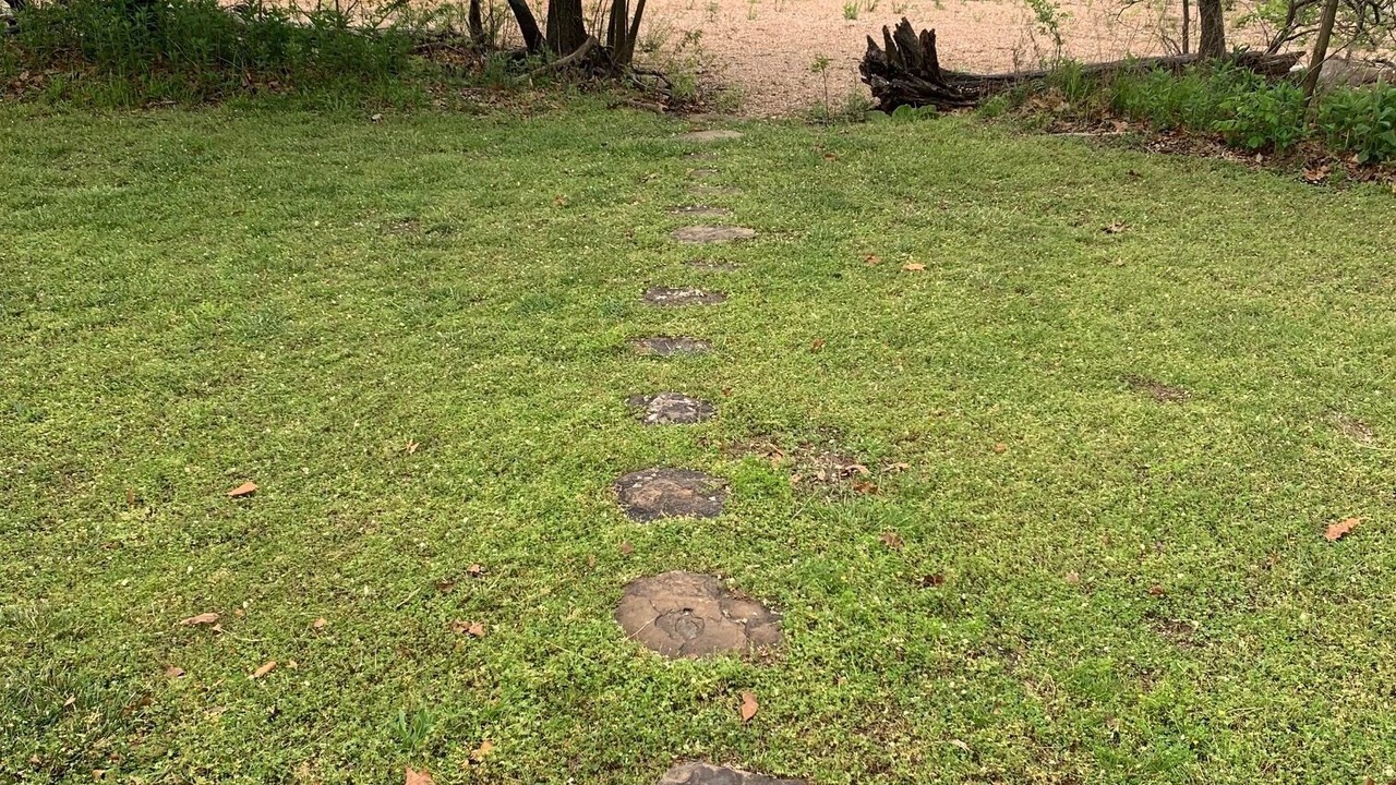 Photo of Outdoor in Rogers