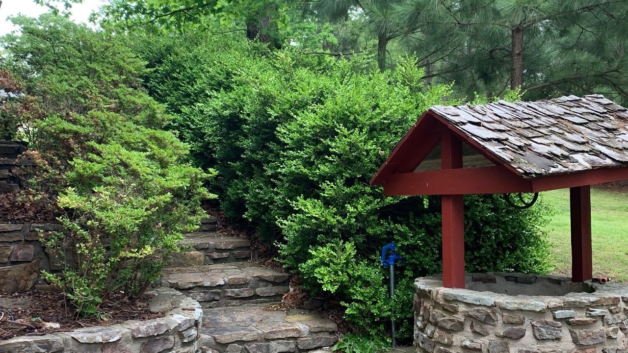 Photo of Outdoor in Rogers
