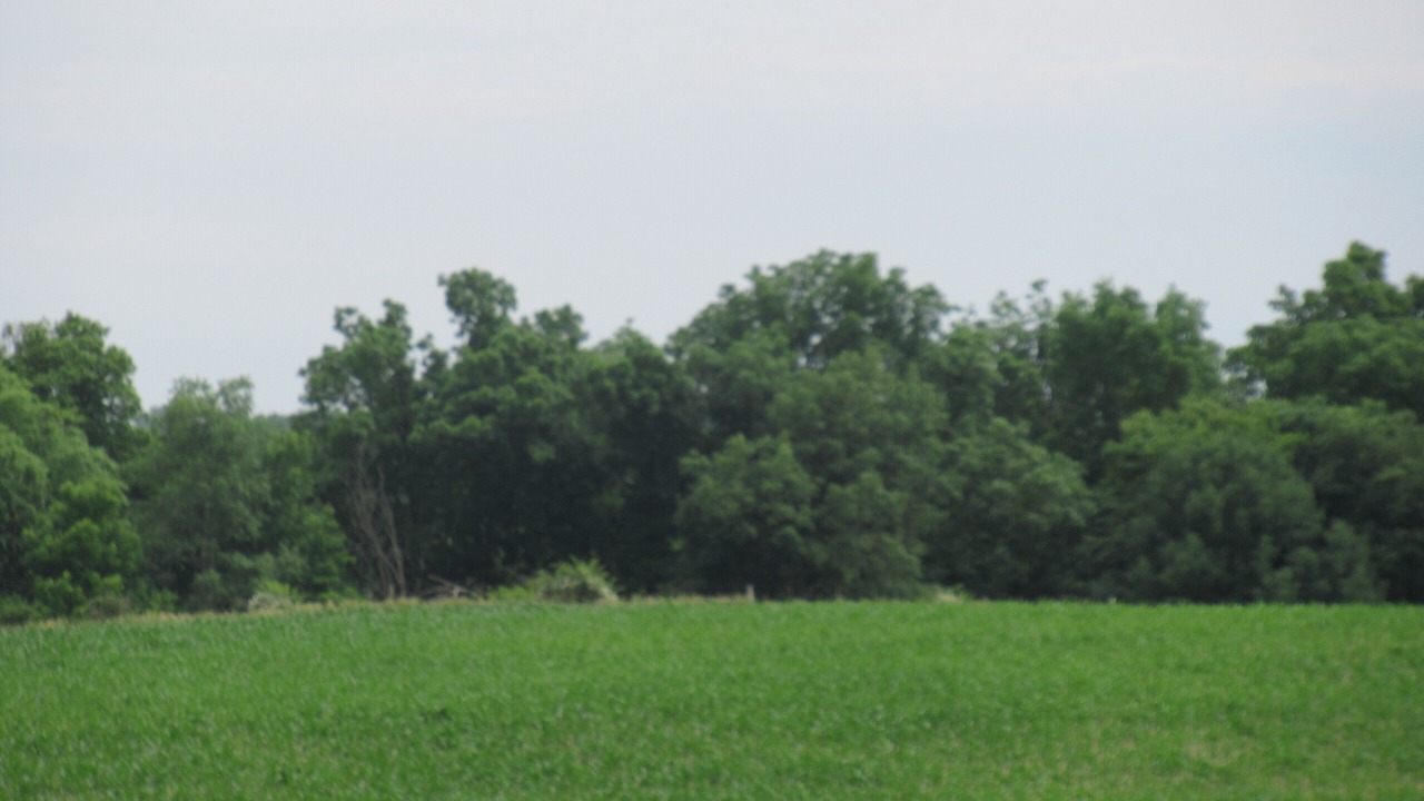 Photo of Outdoor in Iowa