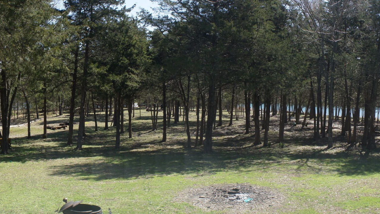 Photo of Others in Rogers