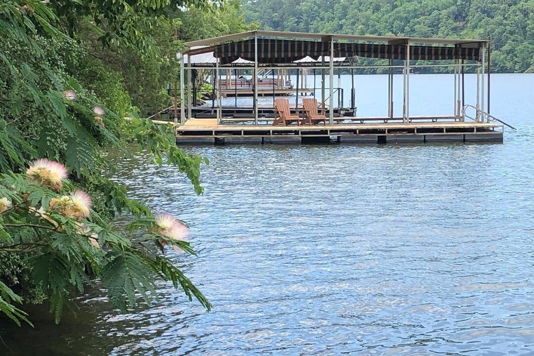 Photo of Outdoor in Piney