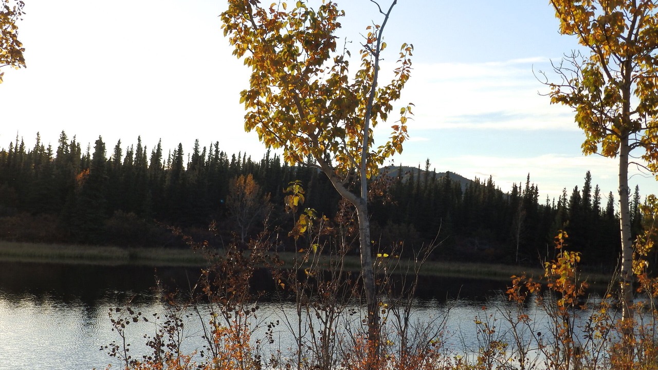 Photo of Outdoor in Healy