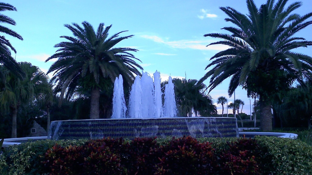 Photo of Outdoor in Bay Lake