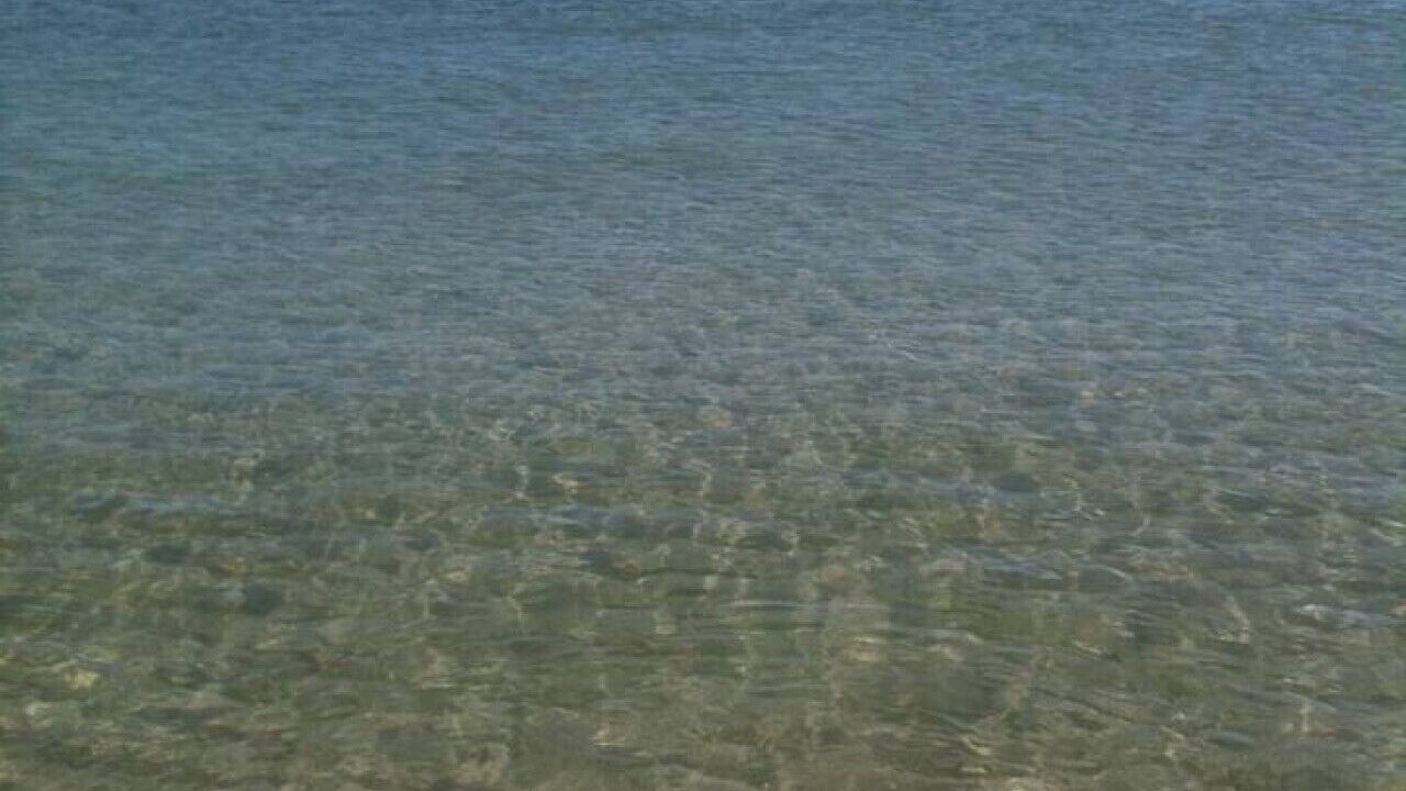 Photo of Others in Orange Beach