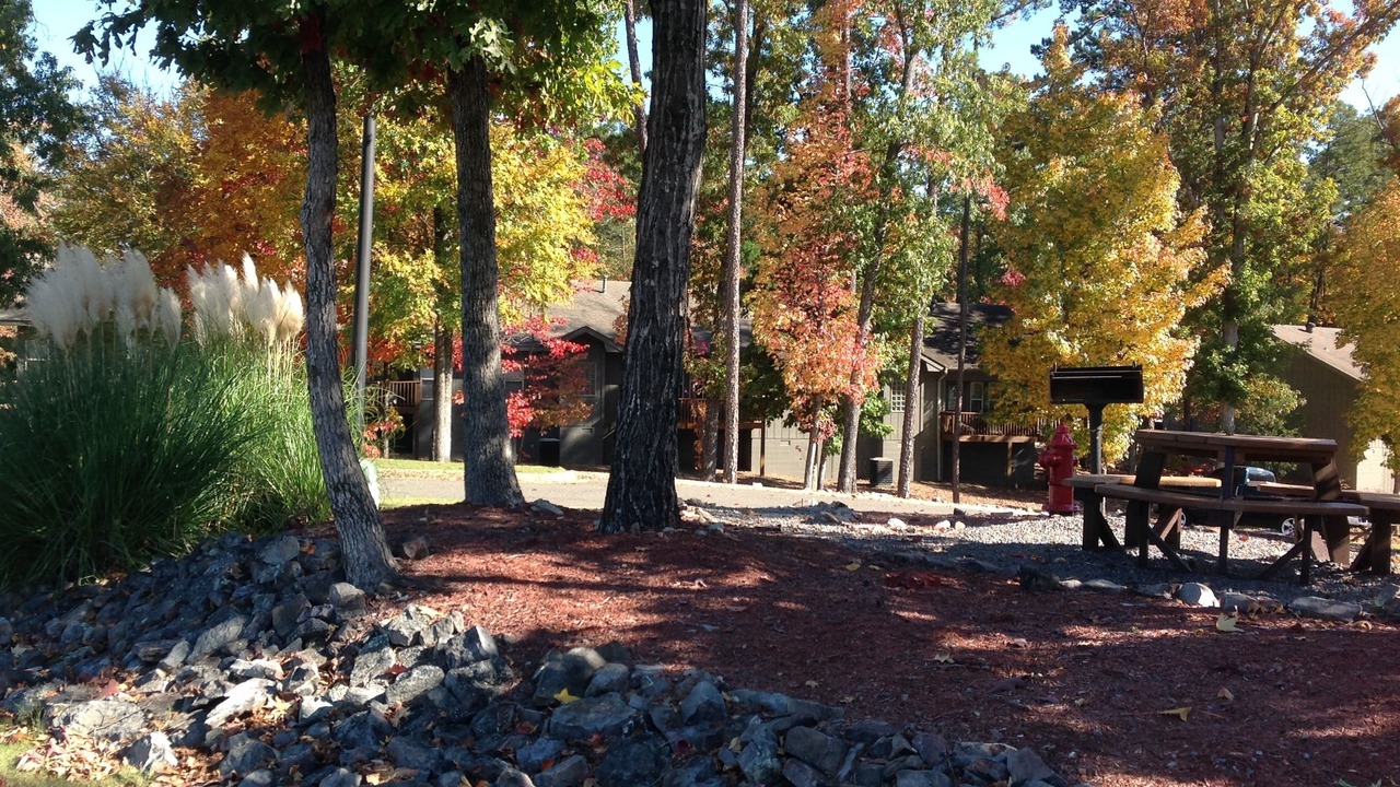 Photo of Others in Hot Springs Village
