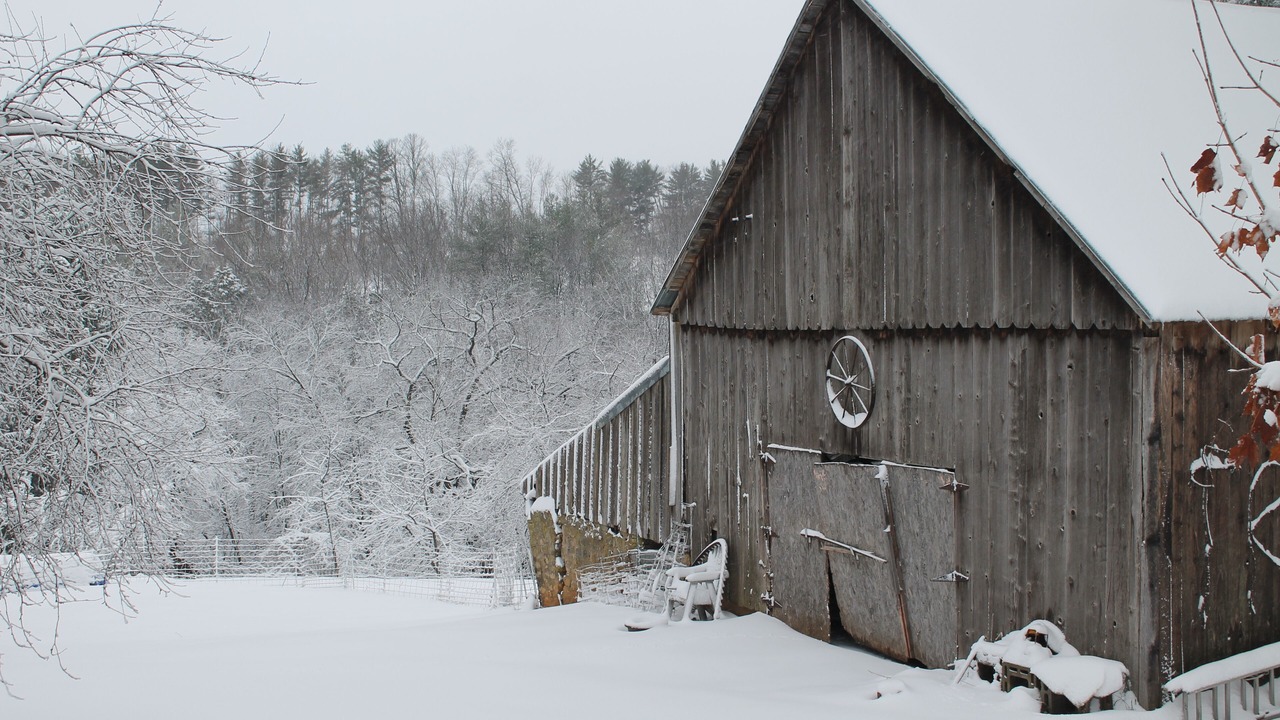 Photo of Outdoor in Westby