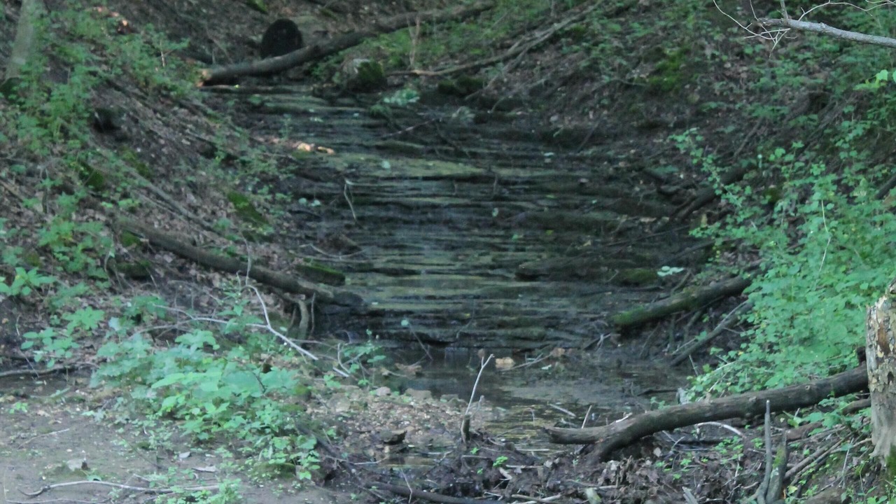 Photo of Others in Westby
