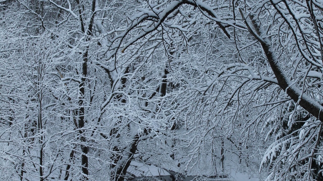 Photo of Others in Westby