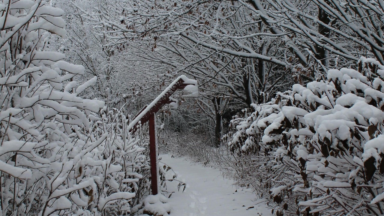 Photo of Outdoor in Westby