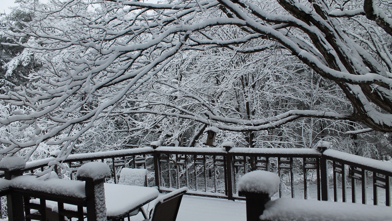 Photo of Outdoor in Westby