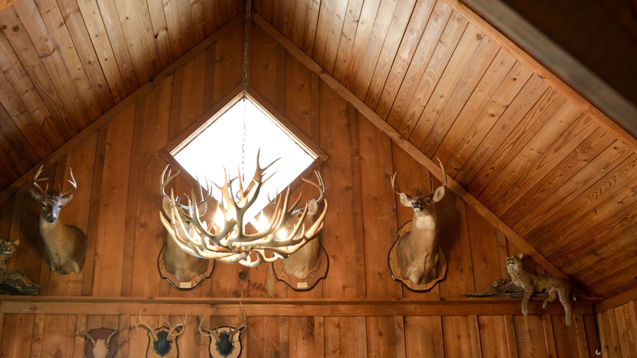 Photo of Others in Board Camp