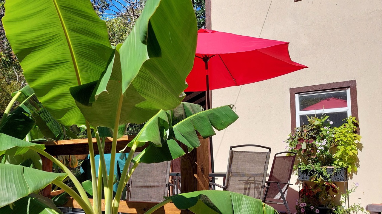 Photo of Patio Balcony in Sylvan Shores