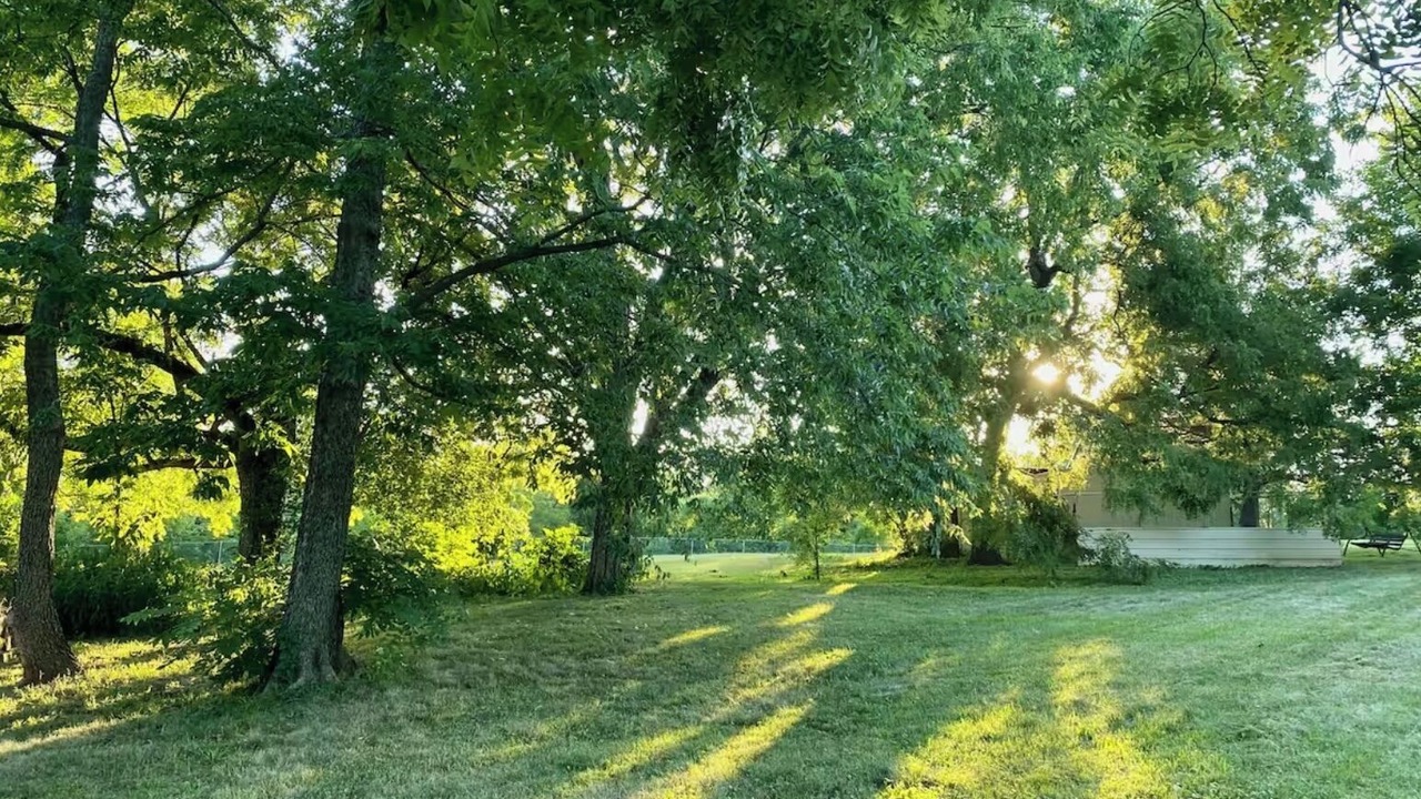 Photo of Outdoor in Kansas City