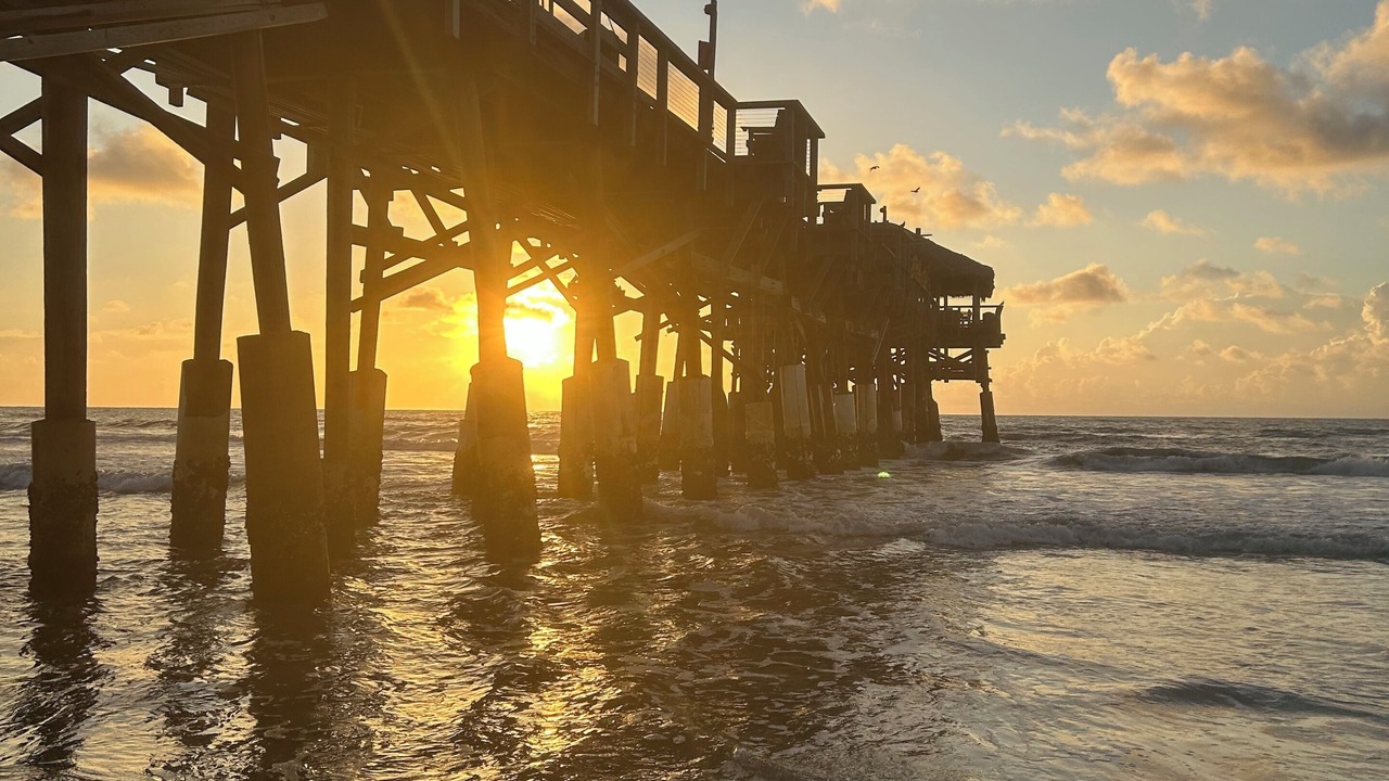 Photo of Others in Port Canaveral