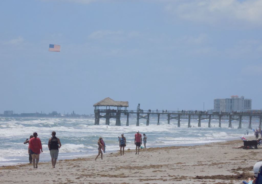 Photo of Others in Port Canaveral