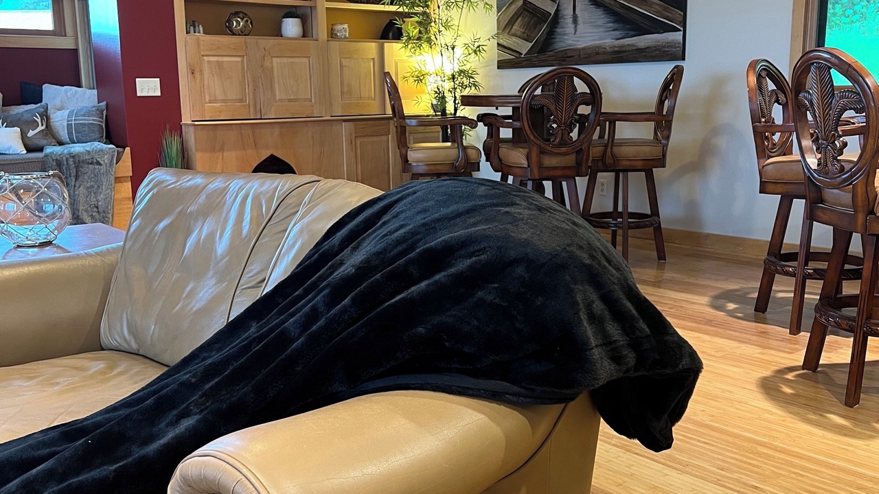 Photo of Livingroom in Ferryville