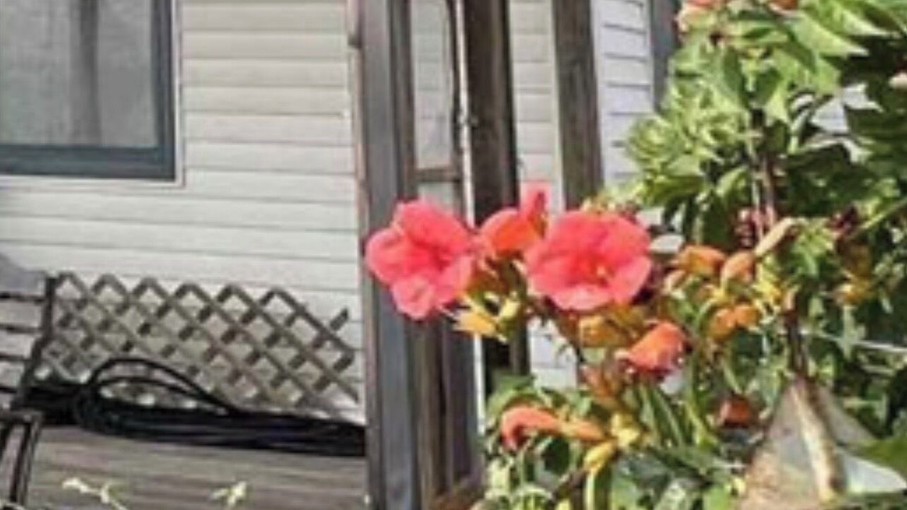 Photo of Outdoor in Ferryville
