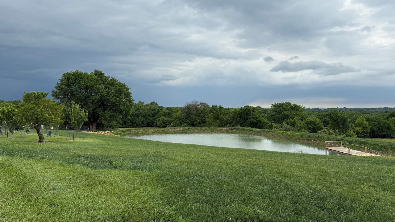 Photo of Others in South Kansas City