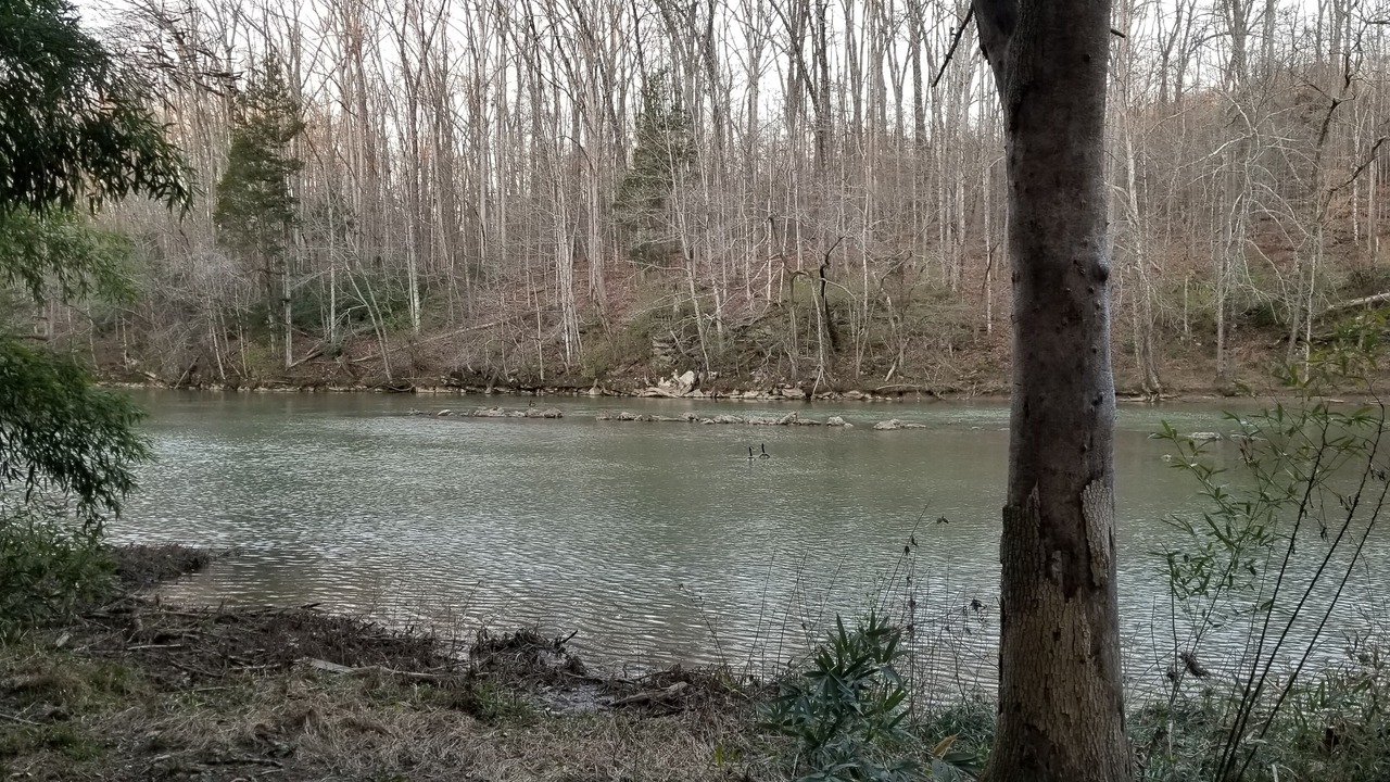 Photo of Others in Ashley Oaks