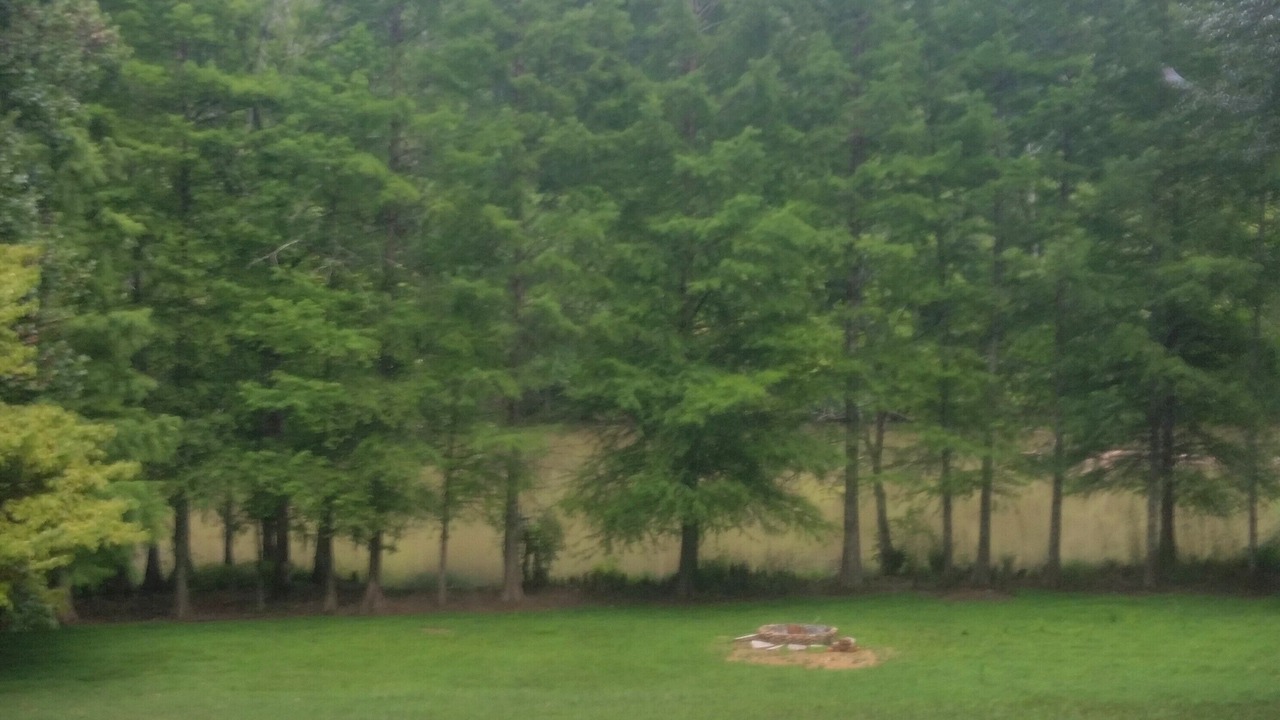 Photo of Others in Ashley Oaks