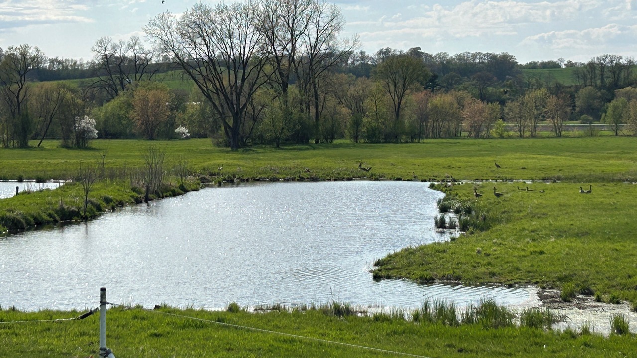 Photo of Others in Marshland