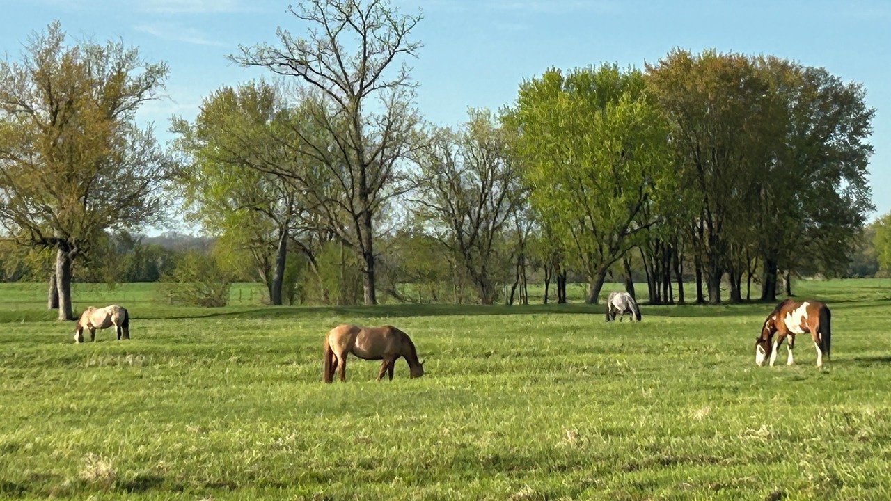 Photo of Others in Marshland