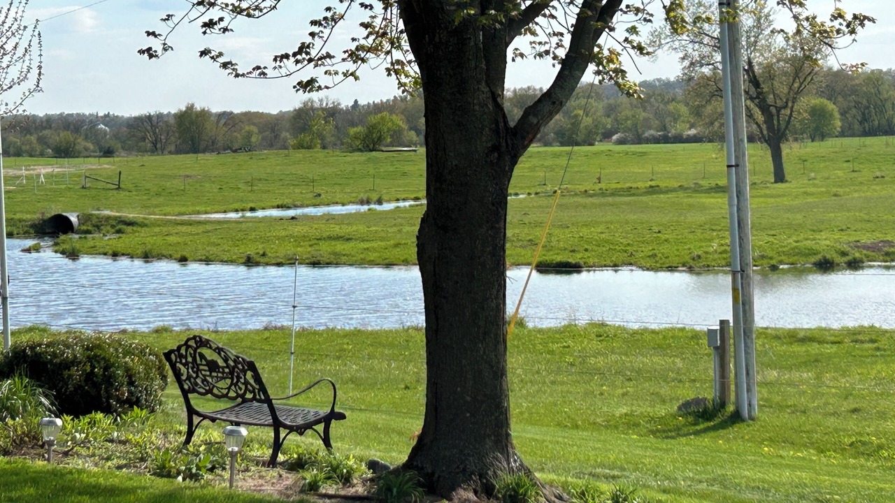 Photo of Others in Marshland