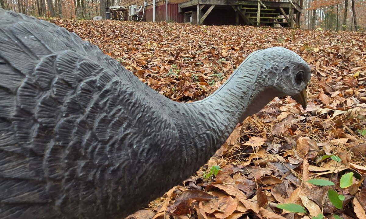 Photo of Others in Lawrence County