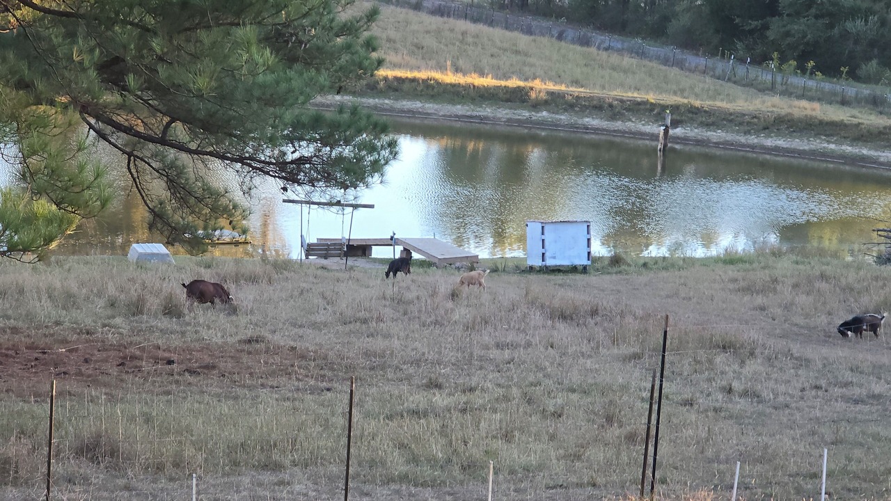 Photo of Others in Water Valley