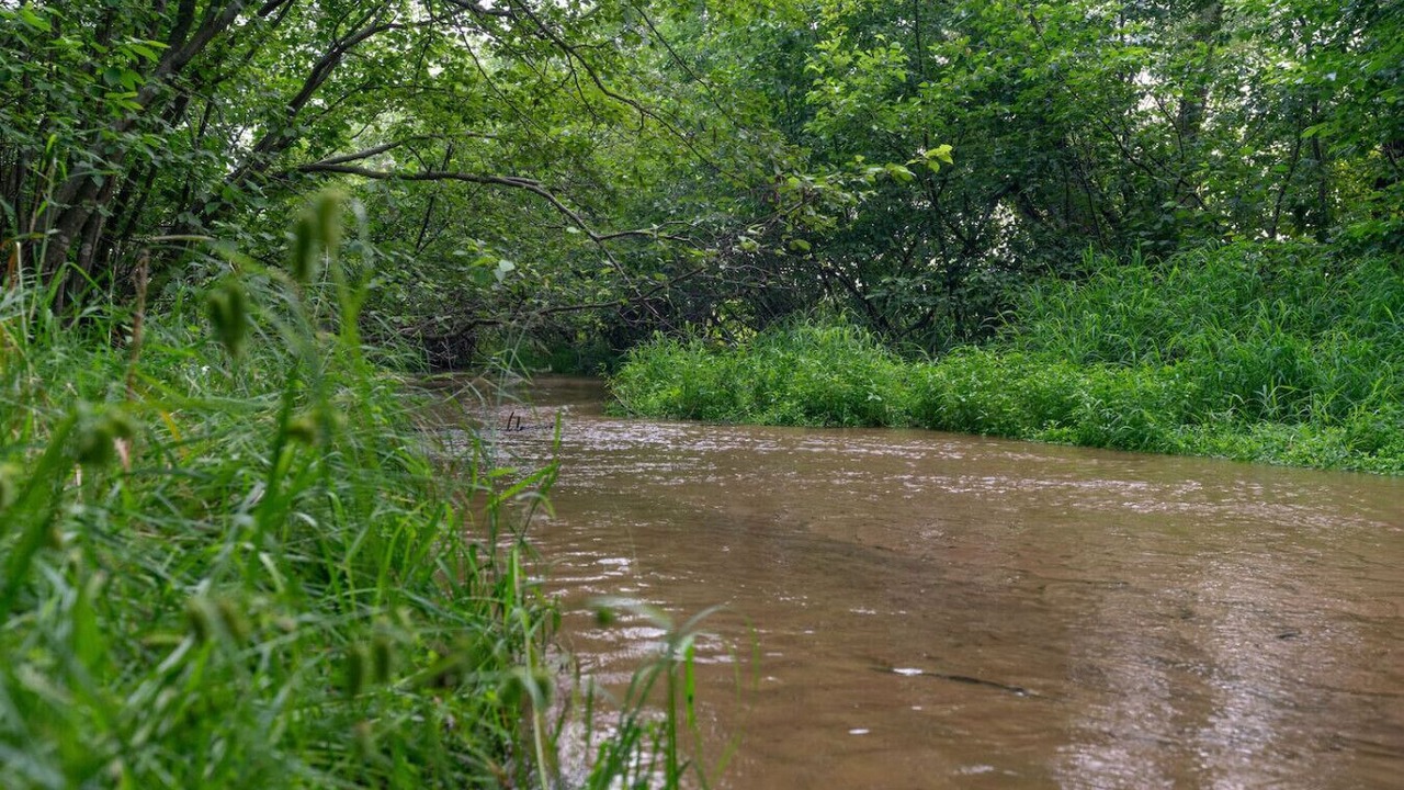 Photo of Others in Seymour
