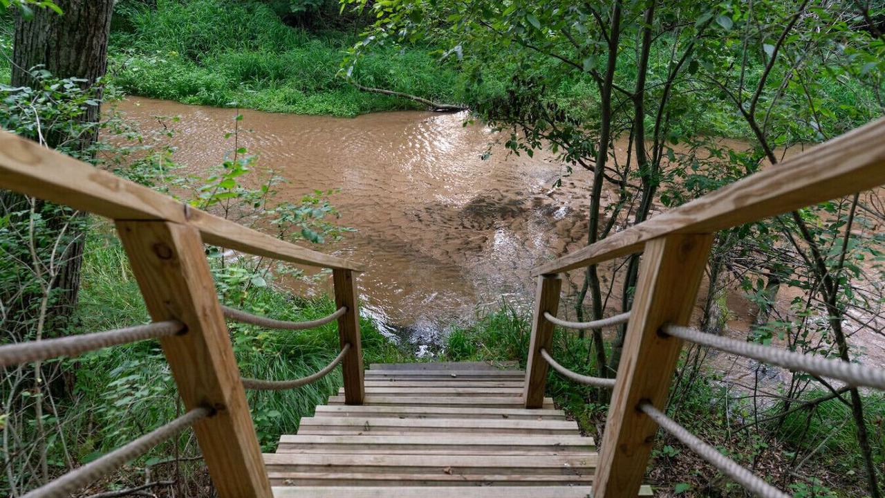 Photo of Others in Seymour