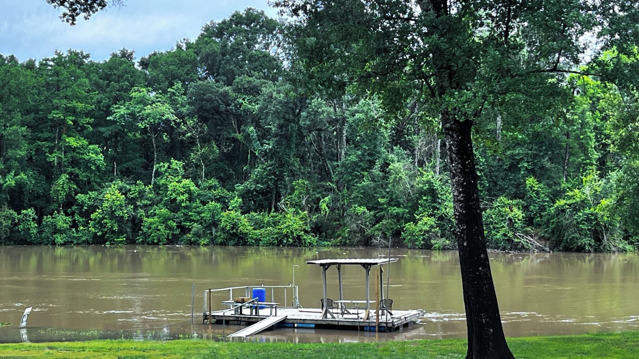 Photo of Outdoor in Denham Springs