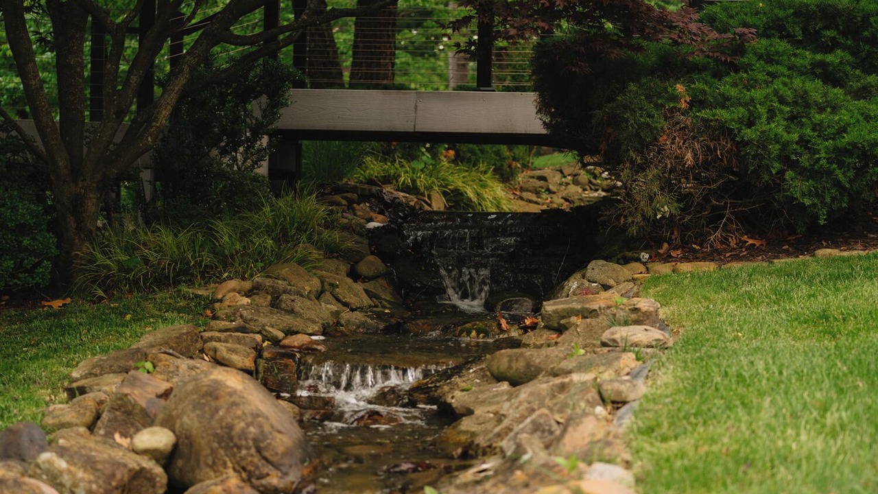 Photo of Outdoor in Bella Vista